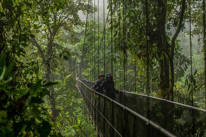 Arenal Tickets: Volcano + Waterfall + Hanging Bridges (SelfGuide) - Important Guidelines