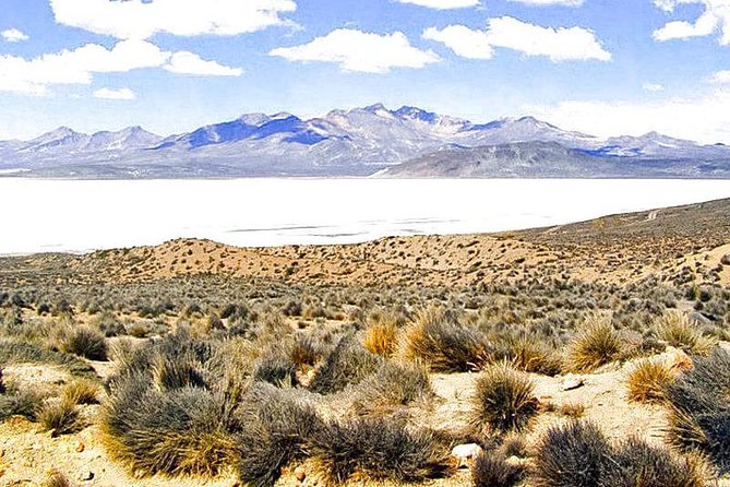 Arequipa, Colca Canyon and Titicaca 4 Days and 3 Nights - Booking and Additional Information