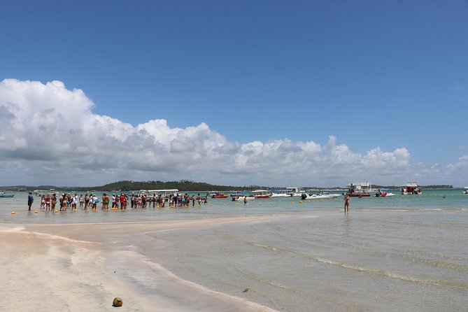 Aries Beach Private Tour - Group 1 to 6 PAX - Leaving Maragogi - What to Expect