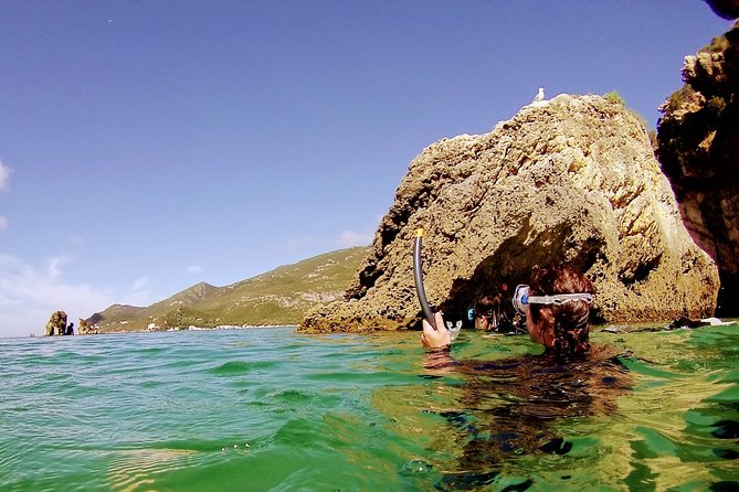 Arrábida Snorkeling & Wine - Pickup and Cancellation Policies