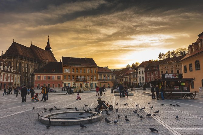 Arrival Private Transfer From Bucharest Airport OTP to Brasov in Business Car - Infant Seats and Accessibility