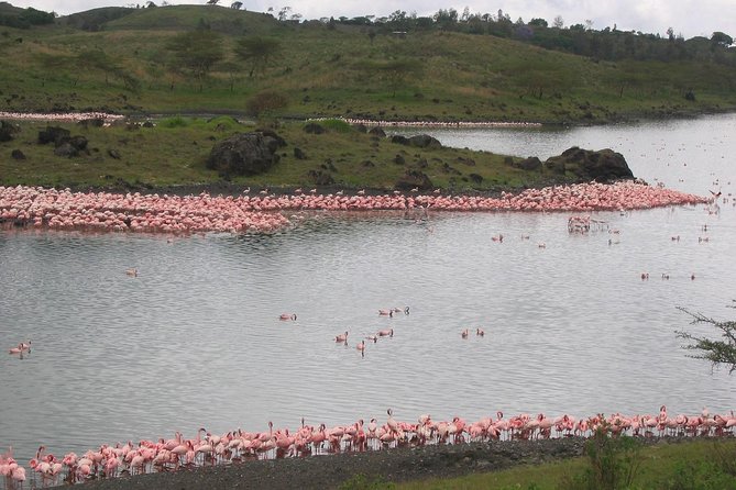 Arusha National Park Day Tour With Walking Safari & Canoeing - Wildlife Encounters