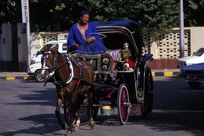 Aswan City Tour by Horse Carriage - Tour Overview