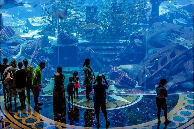 Atlantis Aquaventure & The Lost Chamber Dubai Combo - Age and Height Guidelines