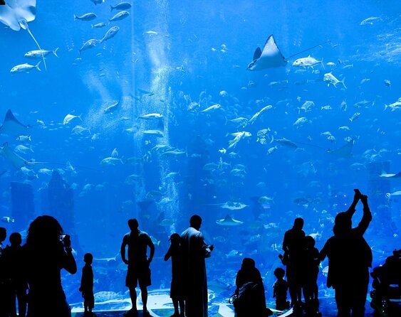 Atlantis Lost Chamber Admission Entry Tickets - Departure Point Information