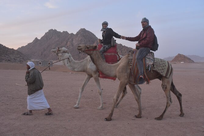 ATV Quad Bike Safari and 2 Hours Horse Riding With Transfer in Hurghada - Duration