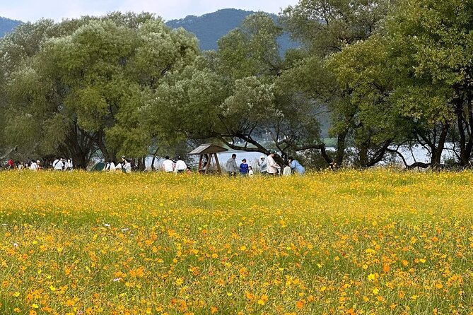 Autumn Trip for Birch Forest and Garden of Nature and Flower Fest - Booking Process