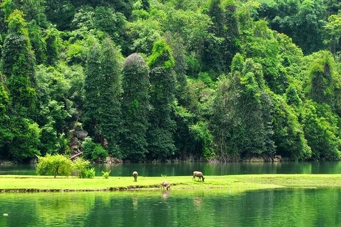 Ba Be Lake 2Day Tour From Hanoi. Trekking, Boat Trip, Homestay - Frequently Asked Questions