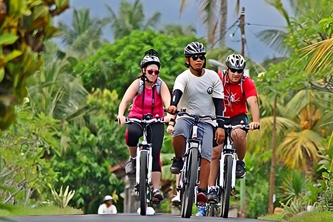 Bali Cycling for 2 Hours With Pick up Service and Lunch - Additional Information