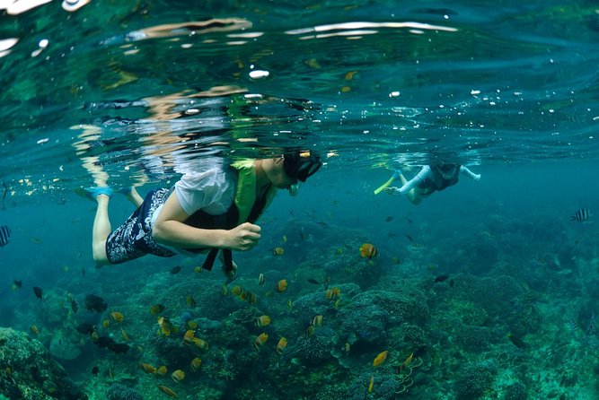 Bali Hai - Aristocat Sailing Cruise - Inclusions and Amenities