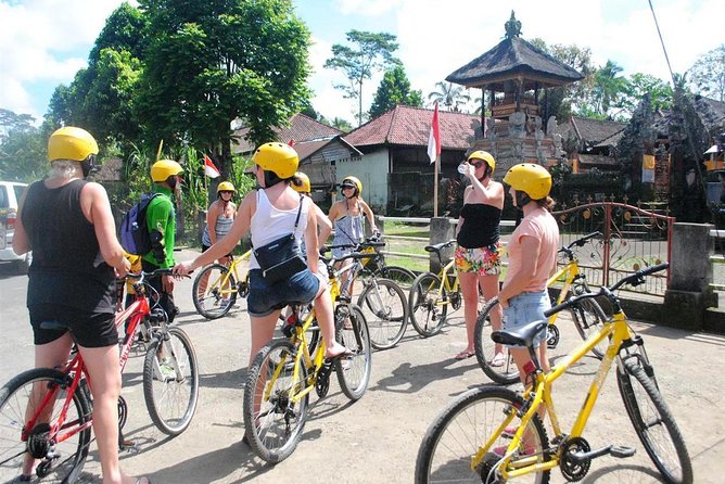 Bali Kintamani Cycling Tour With Transport Service - What to Expect During the Tour