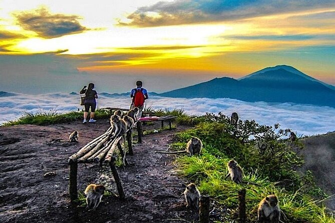 Bali Sunrise Volcano Trek - Jungle Swing, Hot Springs, Camping, Transport & More - Hot Springs and Camping