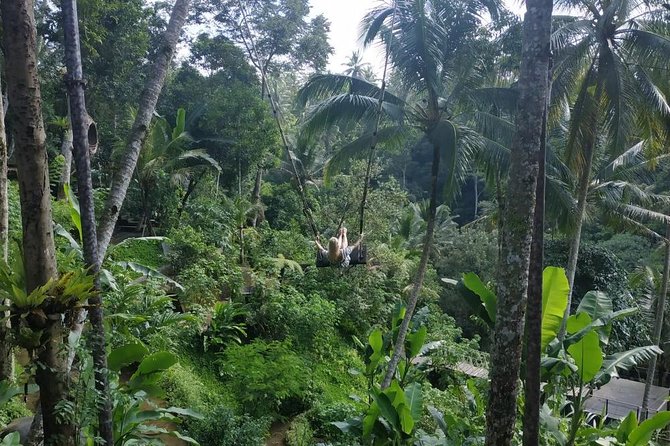 Bali Swing and Ubud Tours - Directions and Meeting Points