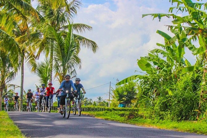 Bali Ubud Countryside Cycling Tour (Included Private Transfer and Lunch) - Booking Information