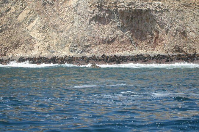 Ballestas Islands and Paracas Reserve Tour From San Martín Cruise - Frequently Asked Questions
