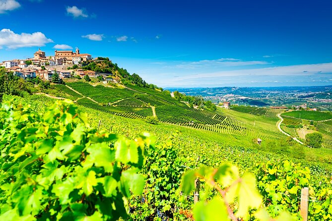 Barbaresco Wine Path: From the Old Town to the Vineyards - What To Expect