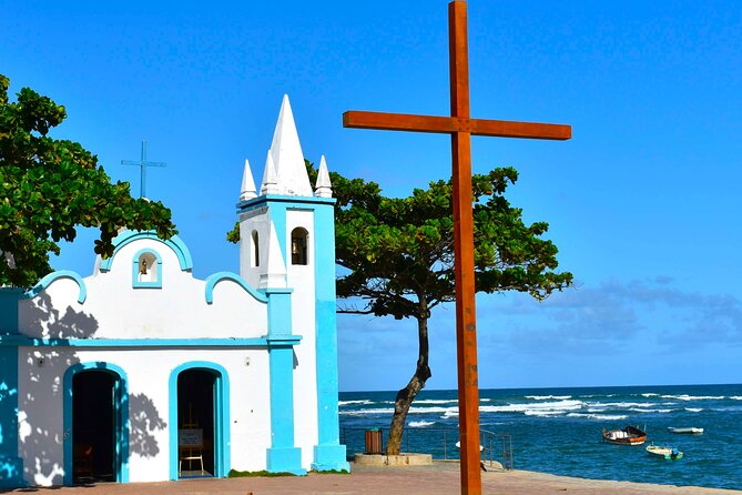 Beach Day Tour to Praia Do Forte, Get to Know the Coconut Coast - Inclusions of the Tour