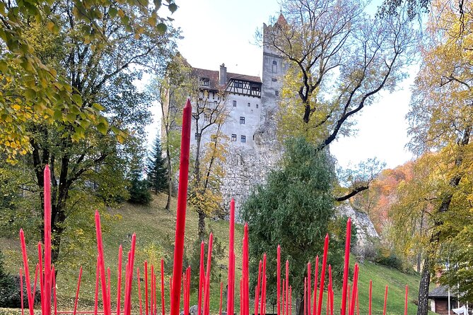 Bear Sanctuary and Bran (Draculas) Castle - Private Day Tour - Additional Information
