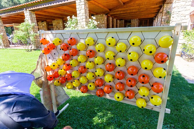 Beekeeper Experience in the Mountain of Holomontas - Weather and Group Size Considerations