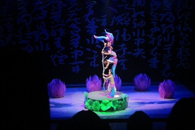 Beijing Night Tour Including Acrobatics Show and Peking Duck Dinner - Tour Inclusions