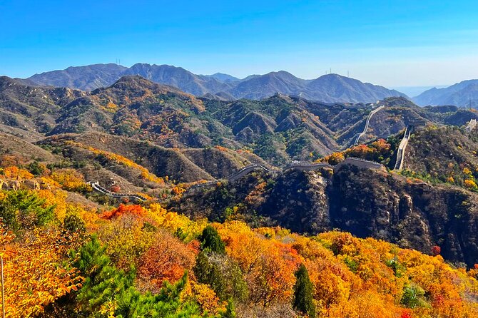 Beijing｜Mutianyu Great Wall & Bird Nest Day Tour - Tour Overview