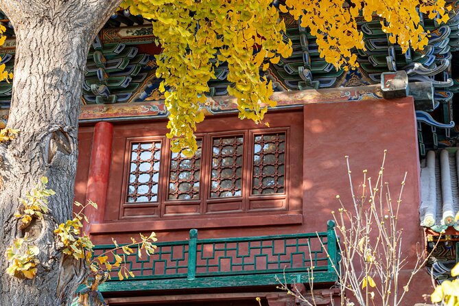 Beijing's Delights Dong Si Hutong Half Day Private Food Tour - Cancellation Policy
