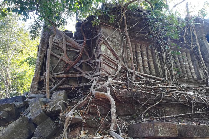 Beng Mealea, Floating Village (Kampong Phluk) and Rolus Temples Tour - Inclusions and Exclusions