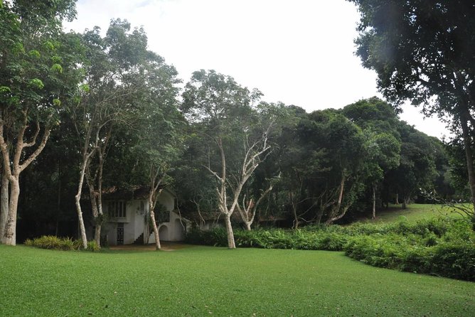 Bentota City Tour From Negombo - Inclusions and Exclusions