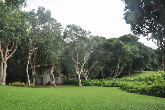 Bentota City Tour From Tangalle - Safety and Accessibility Information
