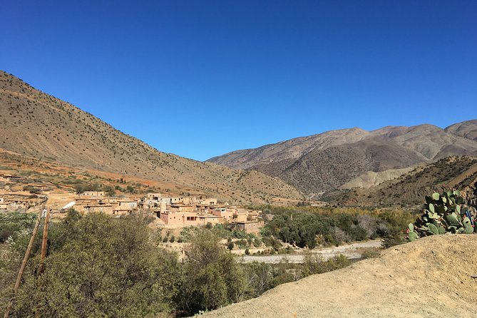 Berber Villages, Camel Ride & Tinmal Mosque Day Trip - Operating Hours