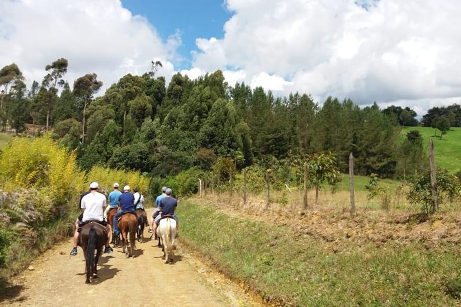 Best Horseback Adventure From Medellin - Pickup Information