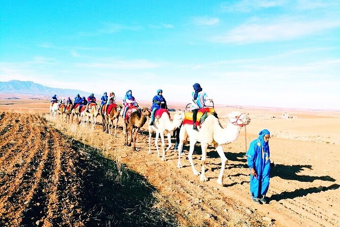 Best Lunch, Quad & Camel Ride Experience in Agafay Desert & Pool