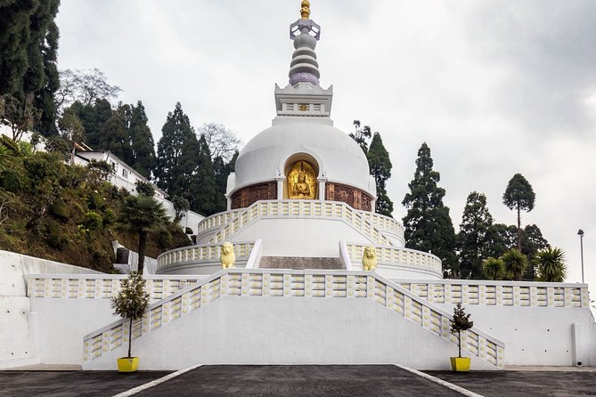 Best of Darjeeling (Guided Halfday Sightseeing Tour by Car) - The Sum Up