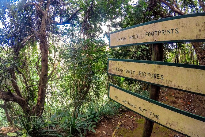 Best of the City, Instagram Photo Shoot Tour With Mauritian Street Foods, Guide - Itinerary and Pricing