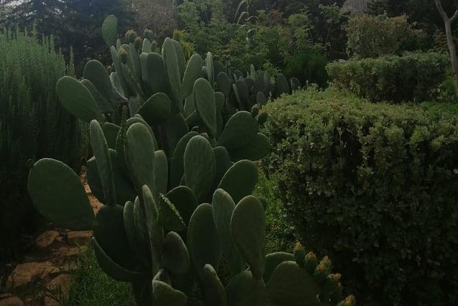 Best Trip : Half Day to Paradise Valley From Agadir - Transportation Details