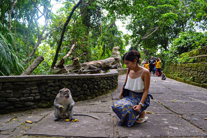 Best Ubud Highlights - Private Day Tour - Pricing Information