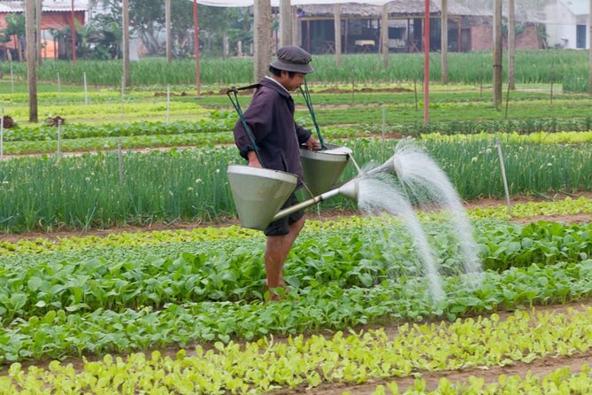 Bicycle Experience Countryside & Cooking Class in Hoi an - Inclusions and Exclusions