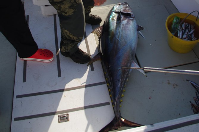 Big Game Fishing Hvar - Meeting Point Directions