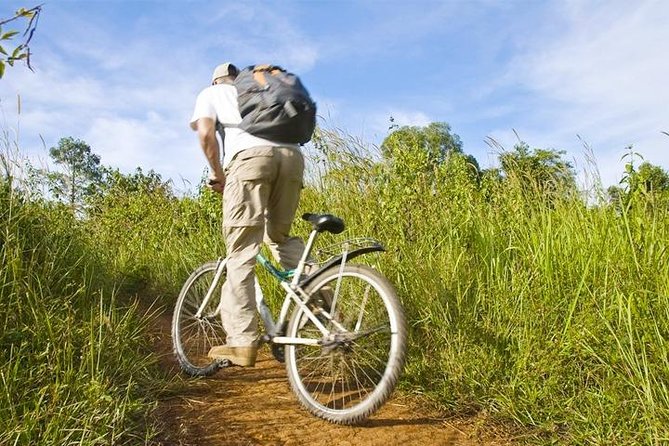 Bike the Siem Reap Countryside With Local Expert - Local Expertise and Insights