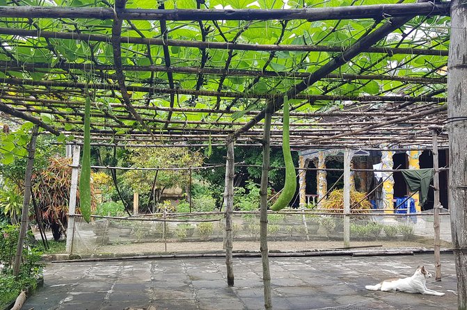 Biking to Thanh Toan Village - Frequently Asked Questions