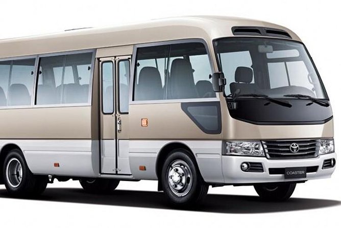 Binhai Airport Private Transfer to Tianjin Cruise Port - Driver and Vehicle Information