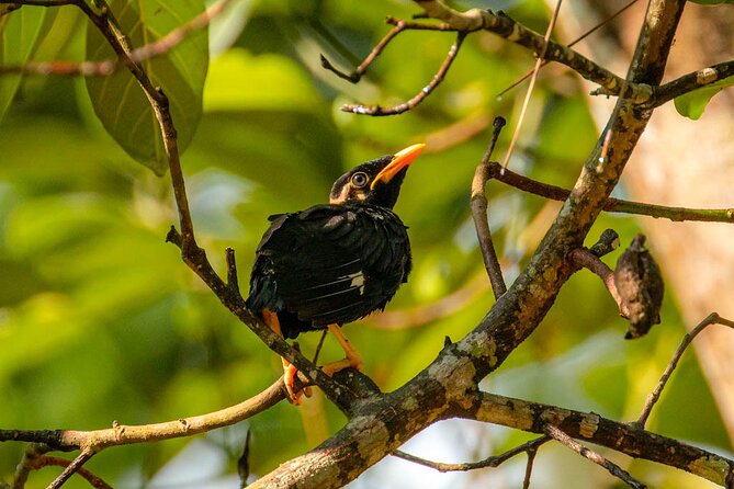 Bird Watching and Wildlife Tour (6 Days) - Packing Essentials