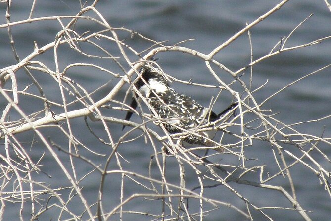 Bird Watching Safari - Frequently Asked Questions