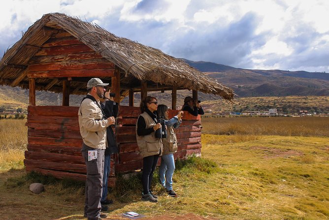 Birdwatching at Huacarpay Wetland in Cusco - Bird Species at Huacarpay Wetland