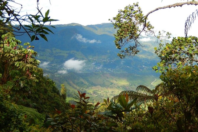 Birdwatching at Monserrate Bogotá 4H - Pricing Information