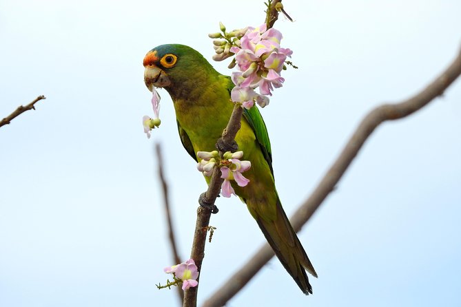 Birdwatching Tour - The Sum Up