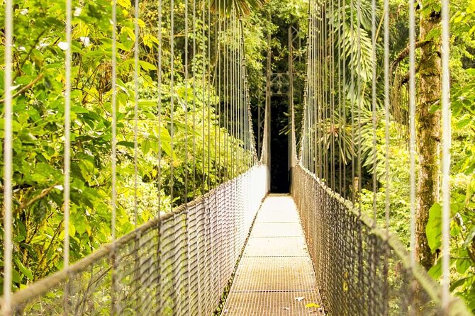 Birdwatching Tour at Mistico Arenal Hanging Bridges Park From Guanacaste - Accessibility and Recommendations