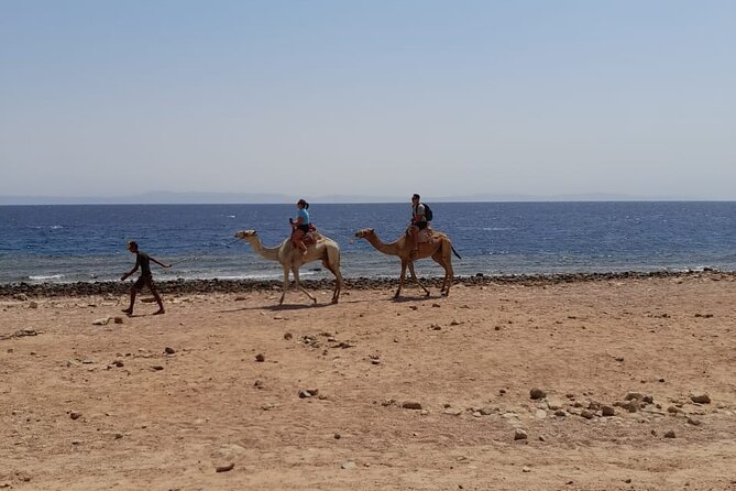 Blue Hole,Camel Ride And Snorkeling Private Tour In Dahab From Sharm El Sheikh - The Sum Up