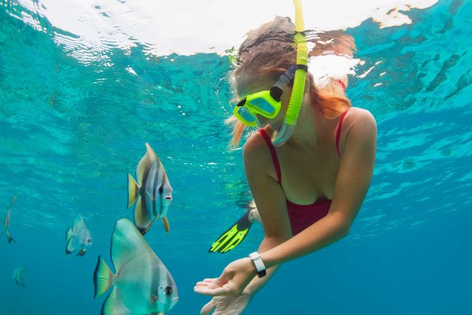 Blue Lagoon Bali Snorkeling & Tanjung Jepun Tour – Full Day - Additional Guidelines