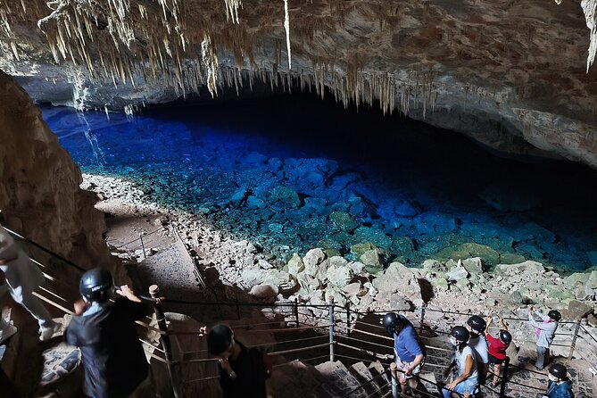 Blue Lake Grotto - Food and Beverage Recommendations